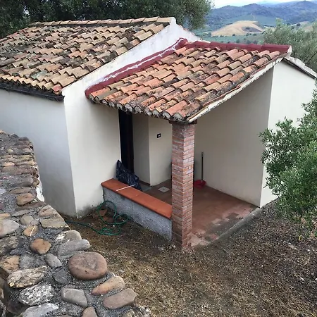 Il Pucchietto