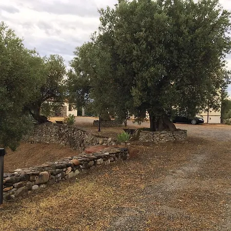 Il Pucchietto Rossano