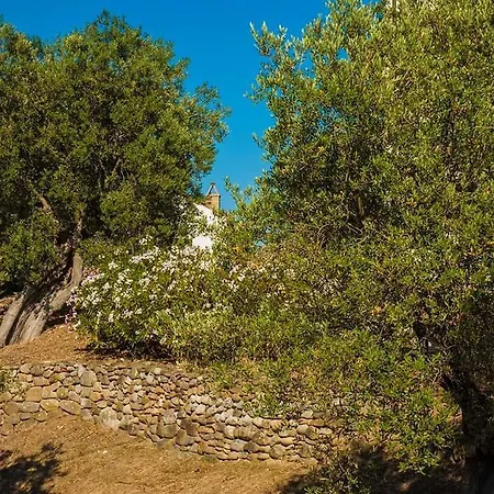 Il Pucchietto Farm stay